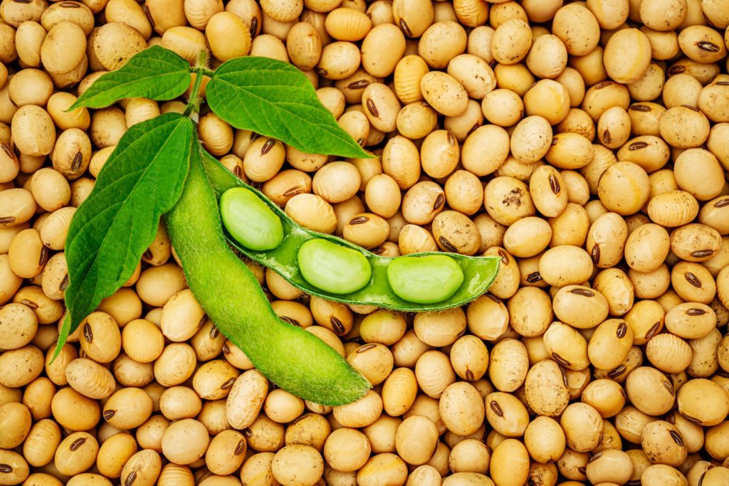 soya-beans